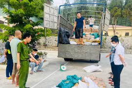 Lào Cai: Thu giữ 3,2 tấn thực phẩm tươi sống bốc mùi hôi thối