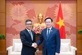 Thúc đẩy quan hệ Đối tác chiến lược Việt Nam - Indonesia