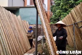 Làng nghề làm bánh đa nem ven đô nhộn nhịp vụ Tết