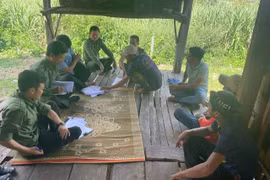 Gia Lai: Lợi ích kép từ việc giao khoán bảo vệ rừng vùng đồng bào ít người