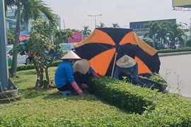 Người dân tìm đủ cách tránh nắng trong đợt nóng cao điểm tại TP HCM