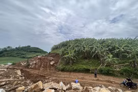 Xử phạt Công ty Vũ Trường Giang 120 triệu đồng vì lấn chiếm đất rừng để khai thác khoáng sản