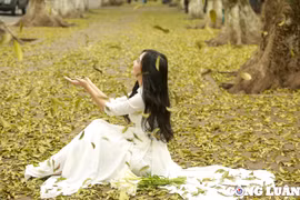 Mùa cây thay lá trải thảm vàng trên “con đường lãng mạn nhất Hà Nội”