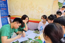Hơn 2.600 cơ hội việc làm dành cho lao động trẻ