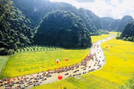 Tuần Du lịch Ninh Bình năm 2023: Rực rỡ sắc vàng Tam Cốc - Tràng An