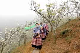 Si Ma Cai nỗ lực phát triển du lịch sinh thái