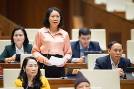 Việc nể nang trong xét xử án hành chính là có, nhưng không nhiều