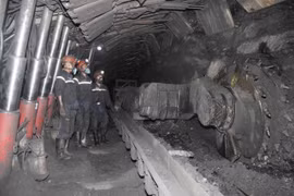 TKV giữ ổn định nhịp độ sản xuất, kinh doanh 2 tháng đầu năm