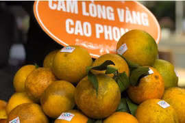 Cam Cao Phong Hòa Bình, có mặt tại siêu thị ở Anh
