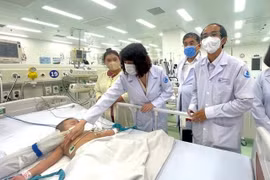 Bệnh tay chân miệng ở TP. Hồ Chí Minh tăng mạnh: Bộ Y tế vào cuộc giám sát