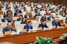 Thủ tướng Chính phủ sẽ quyết định thành lập Hội đồng Y khoa quốc gia