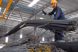 Thép Tiến Lên (TLH) lợi nhuận quý 3 giảm 93,6%, âm nặng dòng tiền vẫn trả cổ tức bằng tiền tỷ lệ 5%