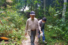 “Chúng tôi muốn tiếp thêm động lực cho những cá nhân yêu rừng”
