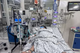 TP. Hồ Chí Minh: Nhiều trẻ sốc sốt xuất huyết nặng, biến chứng suy hô hấp tổn thương đa cơ quan