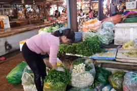 Chợ cóc bắt đầu hoạt động trở lại, giá rau xanh đắt ngất ngưởng, ngang thịt, cá
