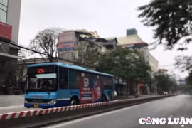 Những chuyến xe buýt chạy trong mùa xuân