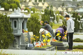 Người dân tấp nập đào, quất đến lễ tạ mộ gia tiên ngày cuối năm