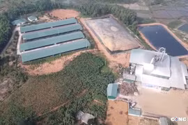 Phù Ninh (Phú Thọ): Nhiều trang trại chăn nuôi xây dựng trái phép trên đất rừng!