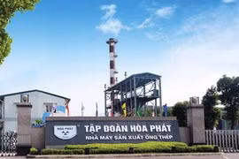 Chứng khoán 12/1: Xanh vỏ đỏ lòng, HPG không tăng, vẫn đáng “ghen tị”