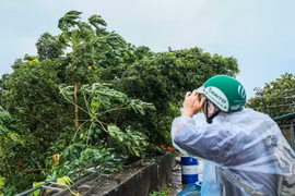 Lý giải nguyên nhân bão số 1 đi lệch so với những dự báo trước đó
