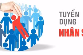 Vẫn có ngân hàng Việt tăng tuyển dụng bất chấp làn sóng sa thải toàn cầu