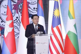 Hướng tới Cộng đồng ASEAN ổn định, phát triển thịnh vượng và bền vững