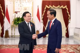 Việt Nam hết sức coi trọng quan hệ Đối tác Chiến lược với Indonesia