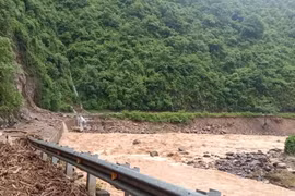 Mưa lũ, sạt lở đất ở Tây Nguyên, Nam Bộ và một số tỉnh phía Bắc ảnh hưởng đến vận hành nguồn và lưới điện