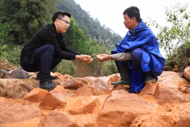 Đã đến lúc cần phải có một “cuộc cách mạng xanh” bền vững hơn cho tương lai của người Việt