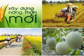 Khơi thông các "điểm nghẽn" trong thực hiện các chương trình mục tiêu quốc gia