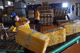 Xuất khẩu cao su của Việt Nam sang Mỹ giảm mạnh tháng đầu năm