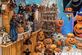 Thị trường đồ trang trí Halloween: Bí ngô, cành bắp đắt hàng