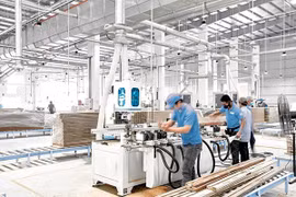 Lợi nhuận Quý 2 giảm 31,6%, Gỗ An Cường (ACG) lại vừa bị phạt và truy thu thuế 2 tỷ đồng