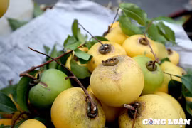 Những món quà tuổi thơ xuống phố "đón" thu Hà Nội