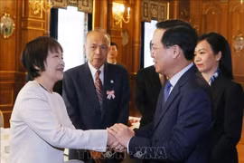 Chủ tịch nước gặp gỡ các gia đình tham gia Chương trình giao lưu thanh niên Việt Nam - Nhật Bản