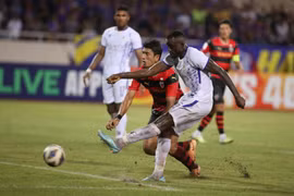 Nhận định Pohang Steelers vs Hà Nội FC, 17h ngày 29/11, AFC Champions League 2023/24