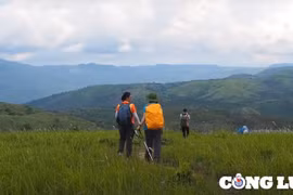 Thảo nguyên Pal sol (Đắk Lắk), điểm đến hấp dẫn với người đam mê trekking