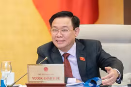 Ban hành Pháp lệnh nhằm nâng cao hiệu lực, hiệu quả hoạt động kiểm toán