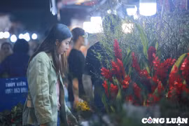 Hà Nội: Nhộn nhịp người dân đến chợ hoa Quảng Bá trước ngày Valentine