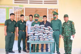 Phó Thủ tướng Trần Lưu Quang gửi thư khen Bộ đội Biên phòng