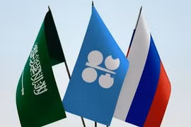 Nga đẩy mạnh nhập khẩu hàng hóa từ Saudi Arabia