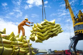 Việt Nam đảm bảo an ninh lương thực trong mọi tình huống