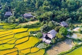 Làng cổ của đồng bào Tày ở Lào Cai là điểm du lịch hấp dẫn