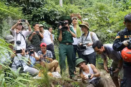 Phóng viên thường trú: Chuyện trên đường tác nghiệp