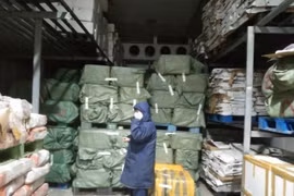 TP HCM: Phát hiện gần 25 tấn nội tạng động vật không rõ nguồn gốc