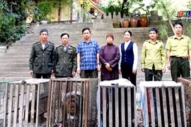 Lào Cai: Vườn quốc gia Hoàng Liên tiếp nhận thêm 13 cá thể động vật hoang dã