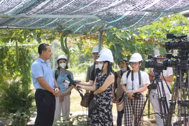 Tổ chức Cuộc thi viết, phóng sự cấp quốc gia về điển hình tiên tiến, gương "người tốt, việc tốt"