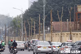 Hà Nội: Hàng loạt cây xanh có dấu hiệu khô héo trên tuyến đường hơn 300 tỷ đồng