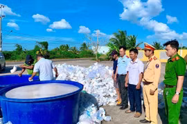 Bạc Liêu: Tiêu hủy hơn 2,7 triệu con tôm giống không có giấy chứng nhận kiểm dịch