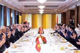 Quan hệ Việt Nam - Nhật Bản trong 50 năm có "6 điều hơn", nhiều bước tiến vượt bậc